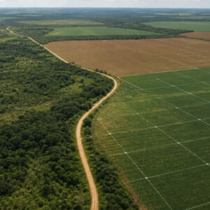 IRDR nº 94 – Embargo ambiental, prescrição administrativa e segurança jurídica no campo