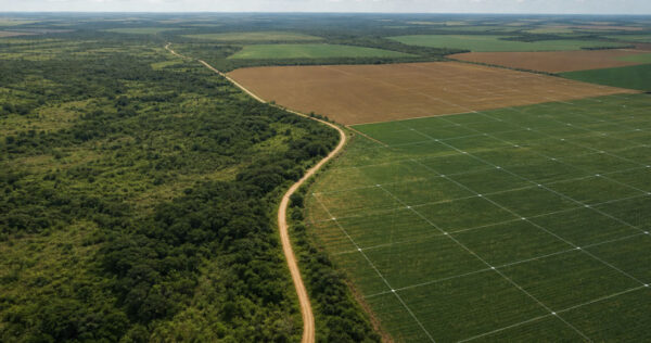 img-embargo-ambiental